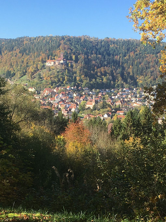 Herbstlicher Blick über Bad Liebenzell
