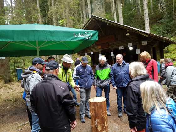 Wer trifft den Nagel ?